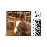 Horse Lover Stamp