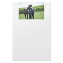 Horse Lover stationery