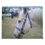 Horse Lover's Calendar