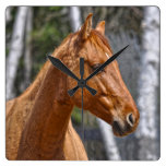 Horse-lover's Equine Animal Design Wall Clocks