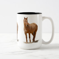 Horse-lover's Equine Animal Designer Mug mugs
