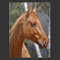 Horse-lover's Equine Animal Notebook notebooks