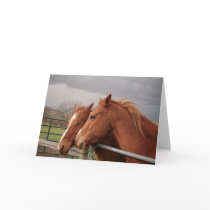 Horse Lovers Greeting Cards by cooltees Horse Lovers Greeting Cards