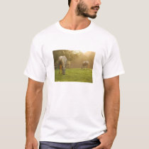 Horse Lovers Paradise t-shirts