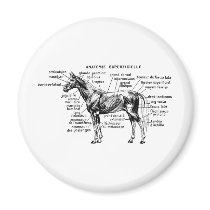 Horse Refrigerator Magnets