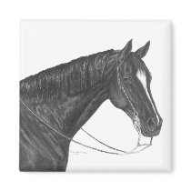 Horse Magnet by RulanCapperStarr Horse Magnet