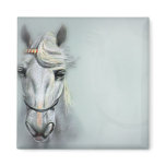 HORSE magnets