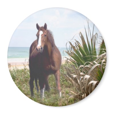 Horse Magnet Beach by horsesense