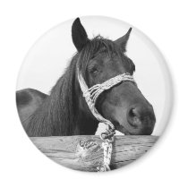 Horse Magnets by emele1 Horse Magnets