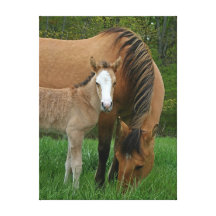 Horse Mare and Foal Gallery Wrap Canvas