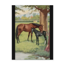 Horse Mare Foal Equestrian Vintage Image Postcards