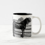 Horse modelling coffee mugs