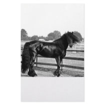 Horse modelling personalized stationery
