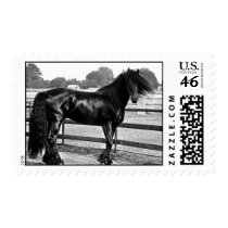 Horse modelling stamps