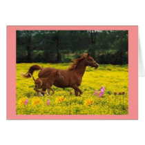 horse mom and baby cards by pinkypetals horse mom and baby cards