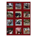 Horse Montage Greeting Cards