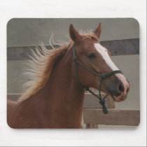 Horse Mousepad