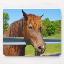Horse mousepad mousepads