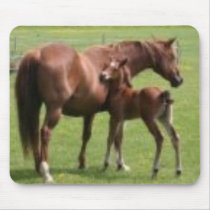 horse mousepad