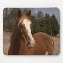 Horse Mousepad mousepads