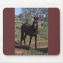 horse mousepads
