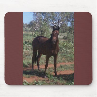 horse mousepad by cooldudeproducts