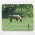 Horse mousepads