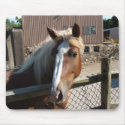Horse mousepads
