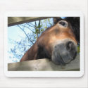 Horse mousepads