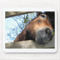 Horse mousepads