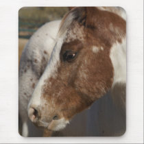 Horse Mousepad mousepads