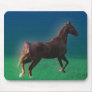Horse Mousepad Fuzzy03