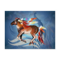 Horse N Bright Feathers Postcard