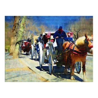 Horse n Carriage Ride Canvas Print print