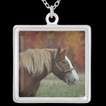horse necklace necklaces