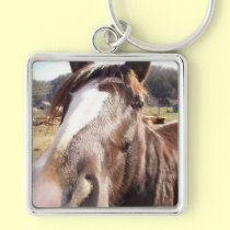 Horse nudge keychain by bbillips keychains