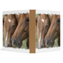 Horse Nuzzle Binder