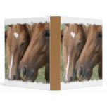 Horse Nuzzle Binder