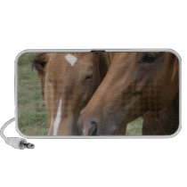 Horse Nuzzle Speakers
