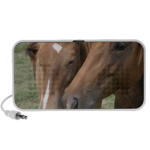 Horse Nuzzle Speakers