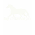 Horse Obsession t-shirts