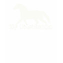 Horse Obsession t-shirts