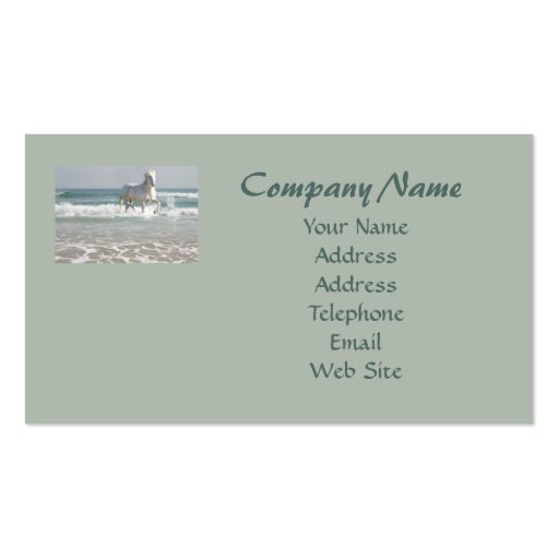 Horse Ocean Business Card (back side)
