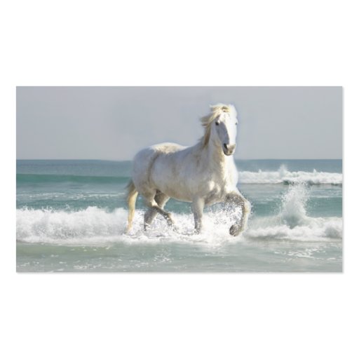 Horse Ocean Business Card (front side)