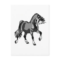 Horse of a Different Color postcards by deleas Horse of a Different Color postcards