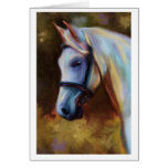 Horse of Colour - Horse Painting Notecard