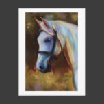 Horse of Colours - Horse painting Postcard
