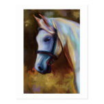 Horse of Colours - Horse painting Postcard