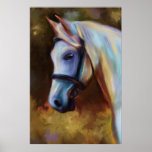 Horse of Colours - Horse painting Print