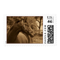 Horse of My Heart postage by lynn_derose Horse of My Heart postage